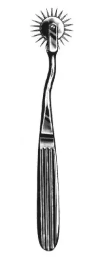 [03320-19] Pin-wheel, Wartenberg